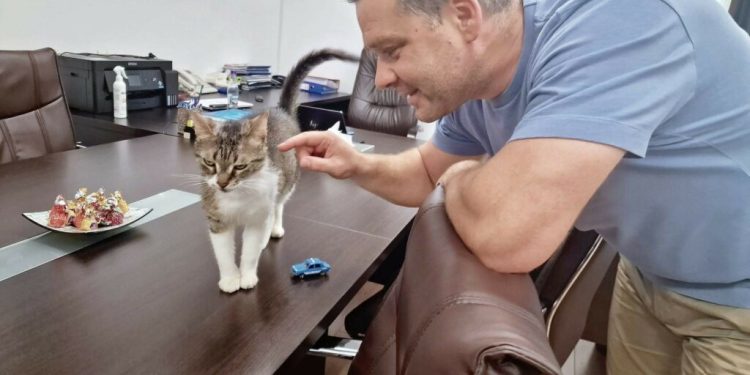 ciucu-vrea-o-mata-si-la-primaria-capitalei:-iubesc-pisicile,-dar-trebuie-sa-fie-in-siguranta