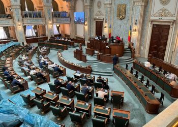 proiectul-pentru-prevenirea-violentei-domestice-a-fost-votat-in-senat-ce-vor-fi-obligate-sa-faca-autoritatile-locale-–-hotnews.ro