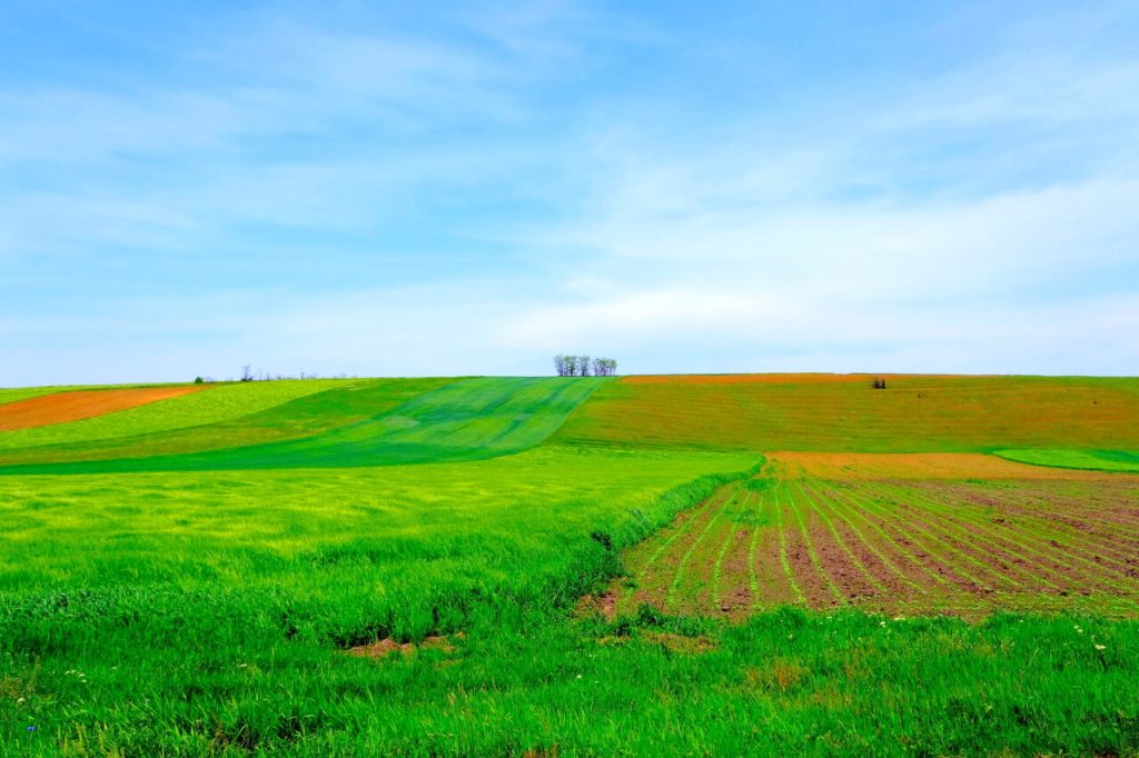 cat-platesti-pentru-un-teren-arabil-in-romania-si-ce-preturi-sunt-practicate-in-alte-state-ale-uniunii-europene,-potrivit-ins