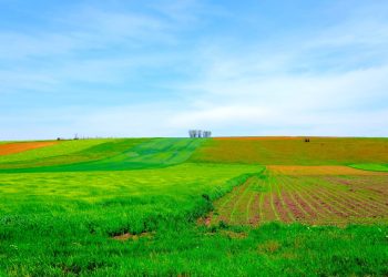 cat-platesti-pentru-un-teren-arabil-in-romania-si-ce-preturi-sunt-practicate-in-alte-state-ale-uniunii-europene,-potrivit-ins