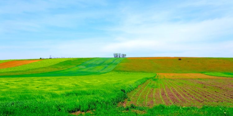 cat-platesti-pentru-un-teren-arabil-in-romania-si-ce-preturi-sunt-practicate-in-alte-state-ale-uniunii-europene,-potrivit-ins