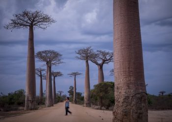 tara-in-care-traiesc-cei-mai-singuri-oameni-de-pe-planeta-rezultatele-unui-studiu-global-surprinzator-–-hotnews.ro