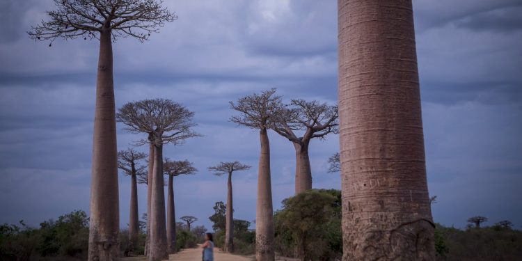 tara-in-care-traiesc-cei-mai-singuri-oameni-de-pe-planeta-rezultatele-unui-studiu-global-surprinzator-–-hotnews.ro