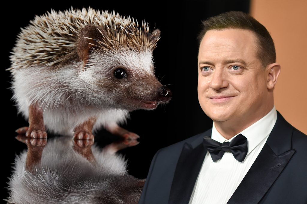 brendan-fraser-a-explicat-de-ce-a-inchiriat-un-arici-dupa-ce-a-castigat-premiul-oscar-–-hotnews.ro