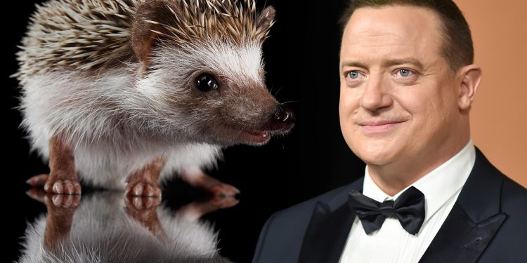 brendan-fraser-a-explicat-de-ce-a-inchiriat-un-arici-dupa-ce-a-castigat-premiul-oscar-–-hotnews.ro