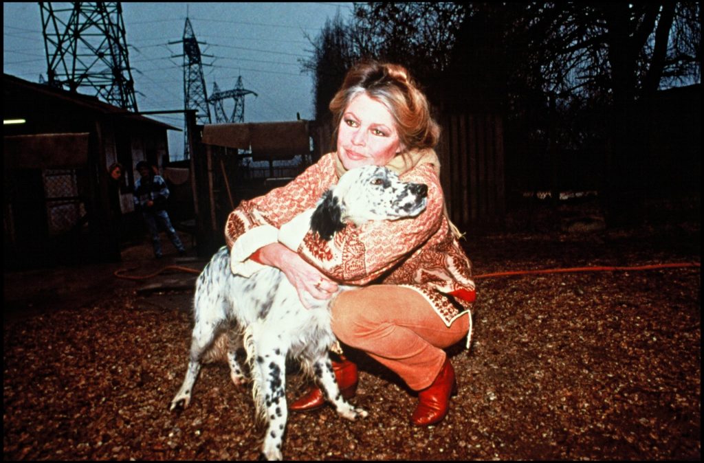 mesajul-pe-care-brigitte-bardot-a-tinut-sa-l-transmita-public,-la-inceputul-lunii,-despre-starea-ei-de-sanatate-–-hotnews.ro