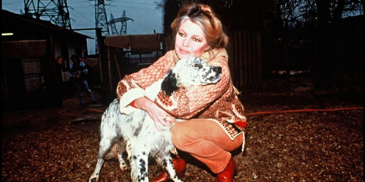 mesajul-pe-care-brigitte-bardot-a-tinut-sa-l-transmita-public,-la-inceputul-lunii,-despre-starea-ei-de-sanatate-–-hotnews.ro