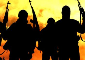 nigeria:-cel-putin-opt-militari-au-fost-ucisi-intr-un-atac-jihadist