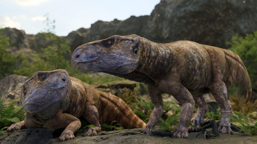 o-cercetare-realizata-cu-contributia-universitatii-din-bucuresti-rescrie-istoria-dinozaurilor-de-pe-continentul-european-fosile-descoperite-in-tara-hategului-au-stat-la-baza-noului-studiu,-publicat-acum-nature-–-foto-–-hotnews.ro