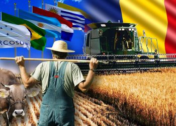 strigatul-unui-fermier-lovit-de-acordul-mercosur:-„este-ceva-politic-impotriva-noastra-si-a-producatorilor-de-hrana”/adrian-mitroi:””