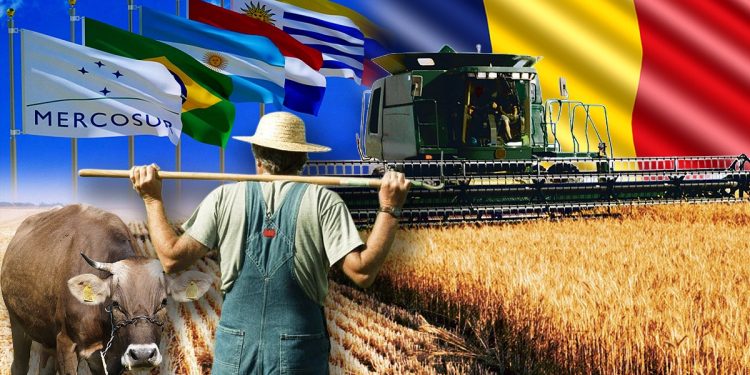 strigatul-unui-fermier-lovit-de-acordul-mercosur:-„este-ceva-politic-impotriva-noastra-si-a-producatorilor-de-hrana”/adrian-mitroi:””