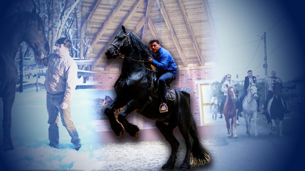 povestea-incredibila-a-imblanzitorului-de-cai-din-parlamentul-romaniei.-deputatul-a-mers-calare-350-km-pana-la-alba-iulia