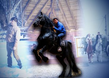 povestea-incredibila-a-imblanzitorului-de-cai-din-parlamentul-romaniei.-deputatul-a-mers-calare-350-km-pana-la-alba-iulia