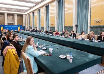 dezbateri-publice-la-guvern-pentru-facilitarea-accesului-lucratorilor-straini-pe-piata-muncii-din-romania