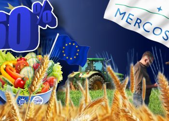 paradoxul-agriculturii-romaniei-in-2026:-suntem-cel-mai-mare-exportator-de-cereale-din-uniunea-europeana