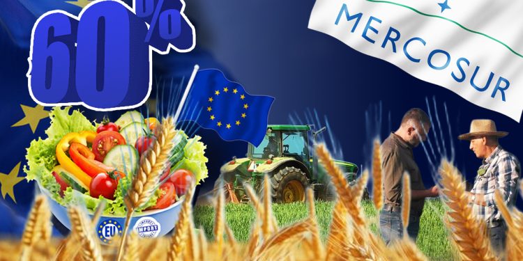 paradoxul-agriculturii-romaniei-in-2026:-suntem-cel-mai-mare-exportator-de-cereale-din-uniunea-europeana