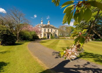 tara-care-taxeaza-conacele-si-avioanele-private-ale-bogatilor-ca-sa-si-protejeze-saracii,-in-timp-ce-trump-da-peste-cap-cea-mai-celebra-bautura-a-lumii