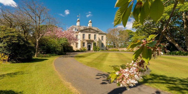 tara-care-taxeaza-conacele-si-avioanele-private-ale-bogatilor-ca-sa-si-protejeze-saracii,-in-timp-ce-trump-da-peste-cap-cea-mai-celebra-bautura-a-lumii