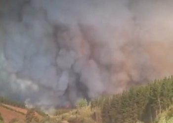 zeci-de-mii-de-oameni-fug-din-calea-incendiilor-in-chile