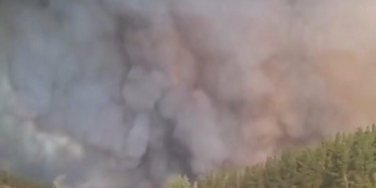zeci-de-mii-de-oameni-fug-din-calea-incendiilor-in-chile