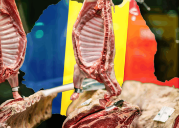 cum-s-a-schimbat-industria-produselor-din-care-din-romania-in-ultimii-17-ani.-profiturile-au-crescut-de-8-ori,-afacerile-s-au-triplat