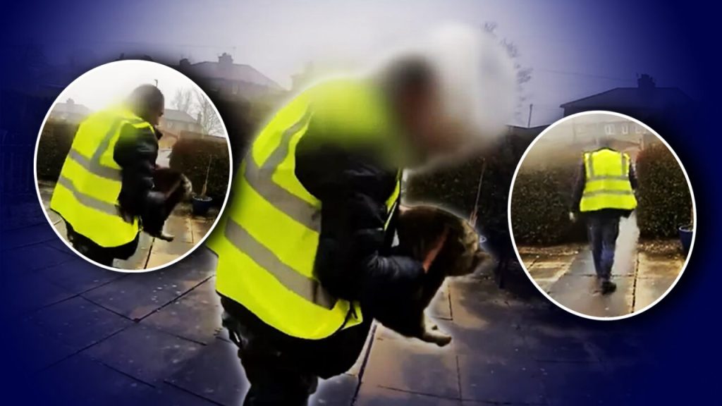 curierii-nu-doar-aduc,-ci-mai-si-iau-este-si-cazul-unui-livrator-amazon-din-uk,-care-a-plecat-cu-pisica-unei-familii.-imaginile-cu-rapirea-norei-au-fost-surprinse-de-camerele-de-supraveghere