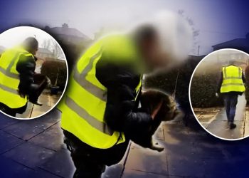 curierii-nu-doar-aduc,-ci-mai-si-iau-este-si-cazul-unui-livrator-amazon-din-uk,-care-a-plecat-cu-pisica-unei-familii.-imaginile-cu-rapirea-norei-au-fost-surprinse-de-camerele-de-supraveghere