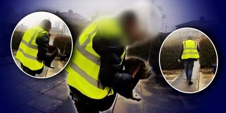 curierii-nu-doar-aduc,-ci-mai-si-iau-este-si-cazul-unui-livrator-amazon-din-uk,-care-a-plecat-cu-pisica-unei-familii.-imaginile-cu-rapirea-norei-au-fost-surprinse-de-camerele-de-supraveghere