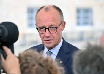 friedrich-merz:-germania-nu-poate-accepta-planul-consiliului-pentru-pace-al-lui-trump-in-forma-actuala