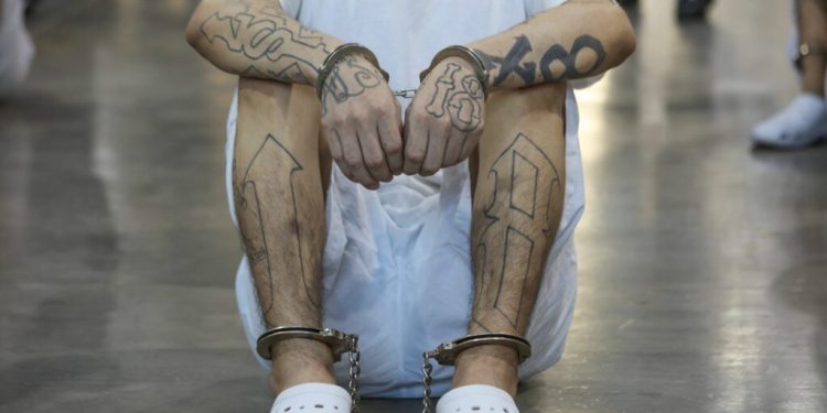 tara-europeana-care-a-reusit-sa-reduca-violenta-si-crimele:-strategia-nationala-din-care-s-ar-putea-inspira-si-romania