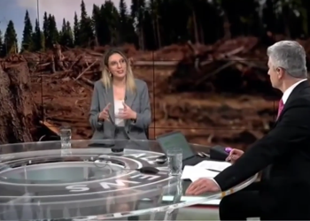 diana-buzoianu-povesteste-cum-se-poate-pacali-sistemul-sumal-de-catre-hotii-de-lemne-din-romania