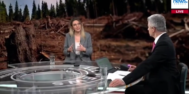 diana-buzoianu-povesteste-cum-se-poate-pacali-sistemul-sumal-de-catre-hotii-de-lemne-din-romania