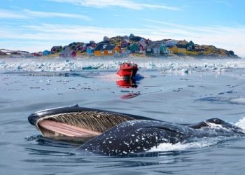 radar-cultural.-spiritele-fierbinti-ale-ghetii