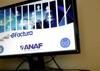 guvernul-a-amanat-aplicarea-ro-e-factura-pentru-persoanele-fizice-impozabile-pana-la-1-iunie-2026.