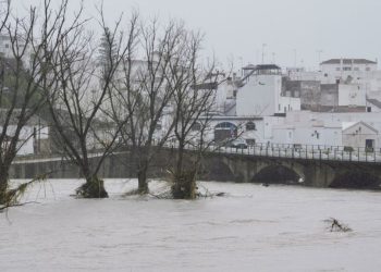 fermierii-anunta-pagube-catastrofale-dupa-ce-furtuna-marta-a-lovit-spania-si-portugalia