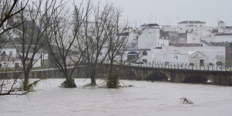 fermierii-anunta-pagube-catastrofale-dupa-ce-furtuna-marta-a-lovit-spania-si-portugalia
