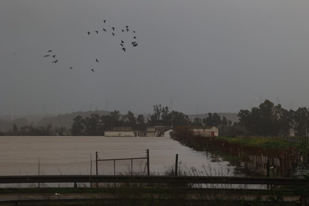 o-adevarata-catastrofa-fermierii-spanioli-reclama-pagube-de-milioane-de-euro-dupa-succesiunea-de-furtuni-din-peninsula-iberica-–-hotnews.ro