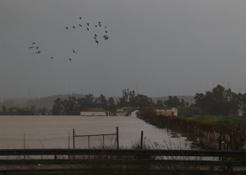 o-adevarata-catastrofa-fermierii-spanioli-reclama-pagube-de-milioane-de-euro-dupa-succesiunea-de-furtuni-din-peninsula-iberica-–-hotnews.ro