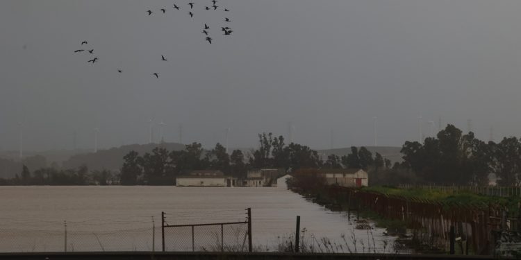 o-adevarata-catastrofa-fermierii-spanioli-reclama-pagube-de-milioane-de-euro-dupa-succesiunea-de-furtuni-din-peninsula-iberica-–-hotnews.ro