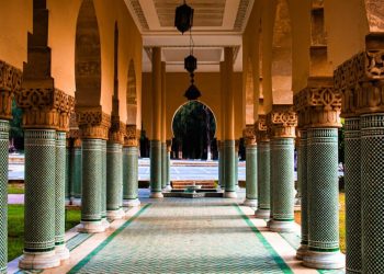 autorul-atacului-din-moscheea-din-noua-zeelanda-spune-ca-a-fost-influentat-de-problemele-de-sanatate-mintala-sa-pledeze-vinovat