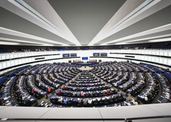 parlamentul-european-pe-a-adoptat-masuri-de-sprijin-pentru-fermierii-europeni-in-contextul-acordului-ue-mercosur