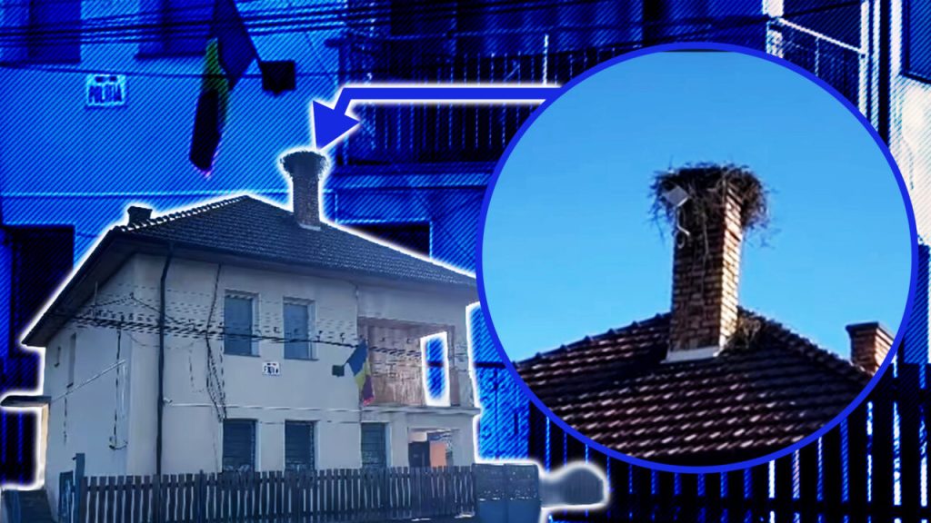 o-barza-a-oprit-incalzirea-cu-lemne-in-postul-de-politie-din-calatele.-si-a-facut-cuib-pe-cosul-de-fum