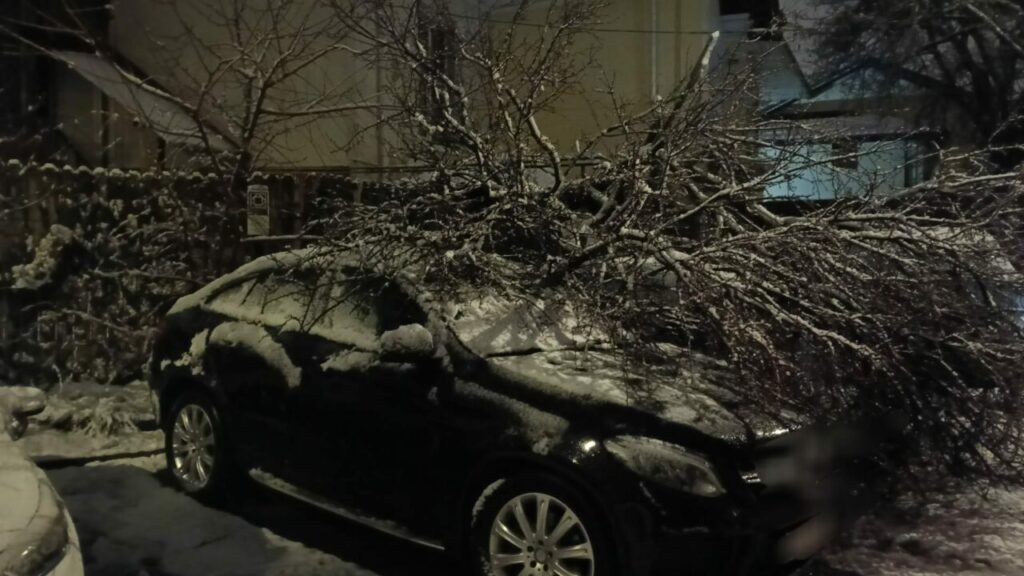 zapada-a-facut-ravagii-si-in-arges.-pe-langa-drumurile-cu-circulatie-ingreunata,-a-doborat-mai-multi-copaci-peste-masini-si-stalpii-de-electricitate