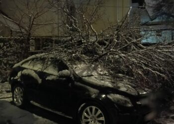 zapada-a-facut-ravagii-si-in-arges.-pe-langa-drumurile-cu-circulatie-ingreunata,-a-doborat-mai-multi-copaci-peste-masini-si-stalpii-de-electricitate