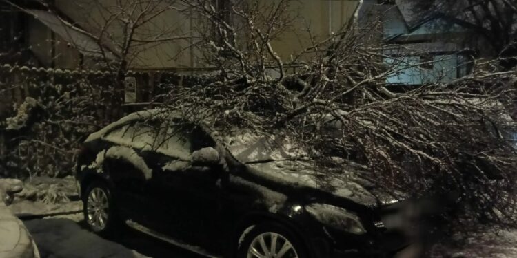 zapada-a-facut-ravagii-si-in-arges.-pe-langa-drumurile-cu-circulatie-ingreunata,-a-doborat-mai-multi-copaci-peste-masini-si-stalpii-de-electricitate