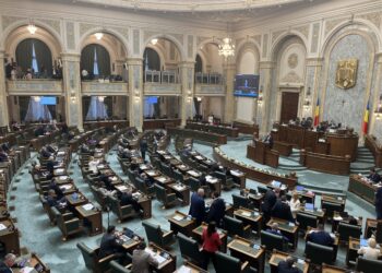 video-imbranceli-si-tipete-in-plenul-senatului-–-hotnews.ro