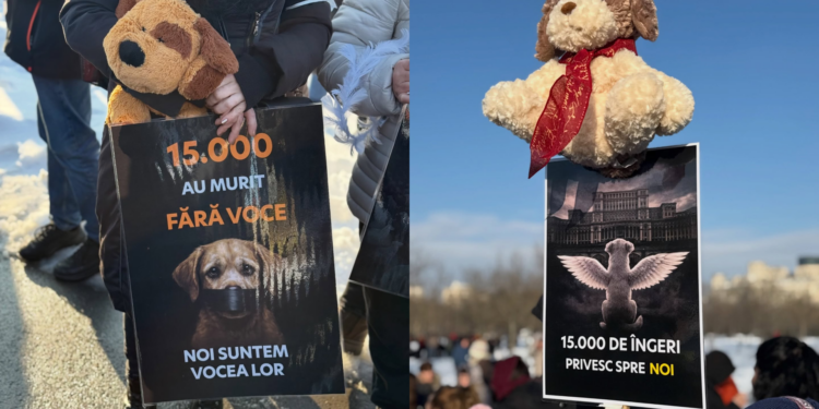 foto-/-video-protest-in-fata-parlamentului-dupa-scandalul-adapostului-din-suraia-cainii-nu-sunt-marfa-–-hotnews.ro