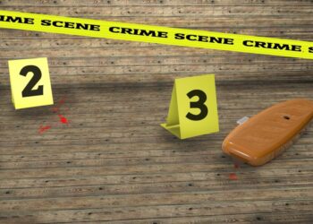 o-mama-din-sua-care-a-scris-o-carte-pentru-copii-despre-durerea-provocata-de-moartea-sotului-este-acuzata-de-crima