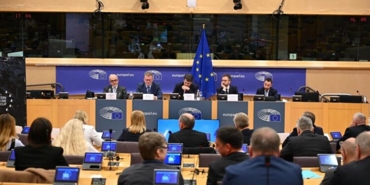 planul-uniunii-europene-pentru-flancul-estic:-investitii,-infrastructura-si-aparare-antidrona