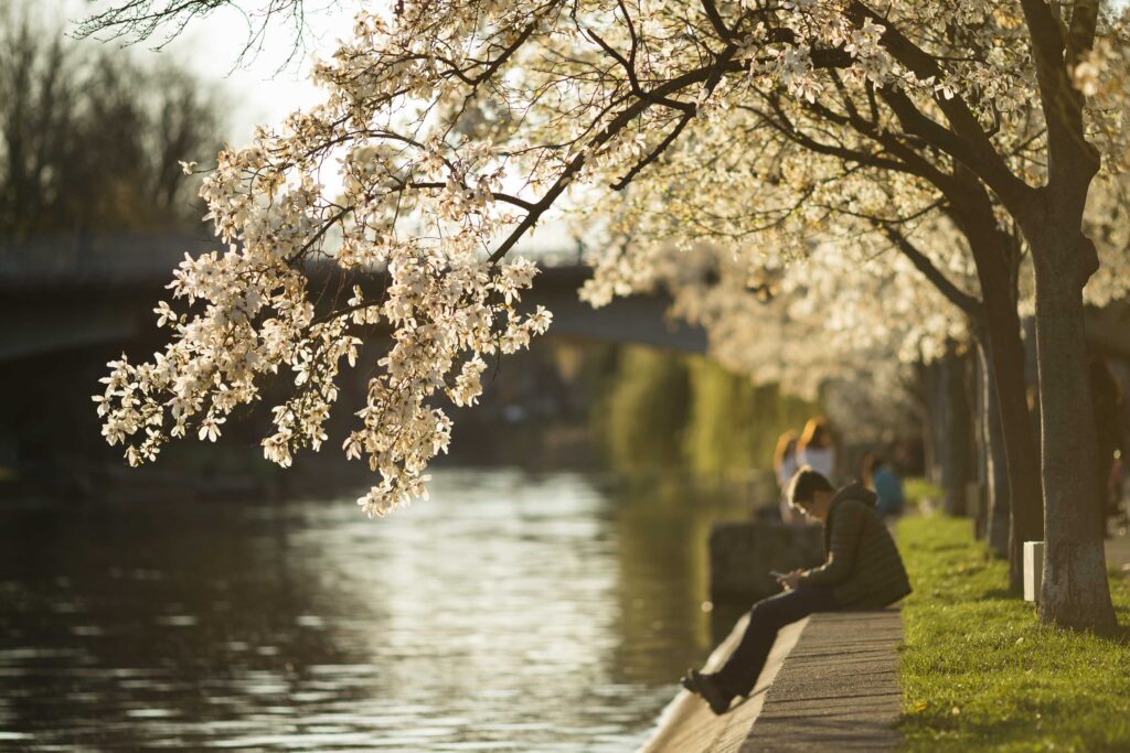 cum-va-fi-vremea-pana-pe-6-aprilie-urmeaza-temperaturi-diferite-fata-de-normalul-perioadei-–-hotnews.ro